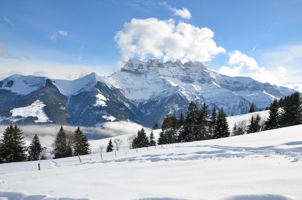 Le Chalet De L'Atelier - Le Nord Champéry Szoba fotó